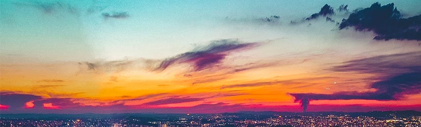 海安茶虫网_海安品茶